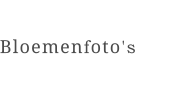 Bloemenfoto's