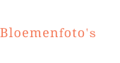 Bloemenfoto's